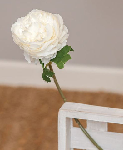 Peony Stem-White