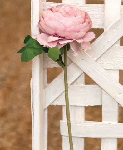 Peony Stem- Pink