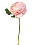 Peony Stem- Blush