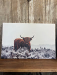 Highland Cow Print