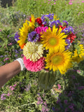 “Sunshine & Stems” Bouquet Making Class 6/27/26