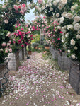 Cottage Rose Lotion Bar