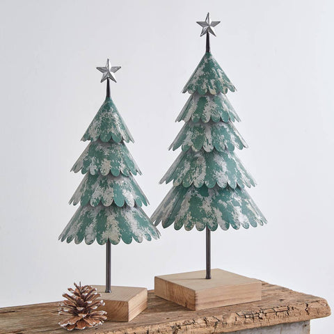 Evergreen Trees