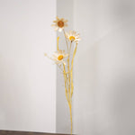 Wispy Late Summer Daisy & Dried Grass Spray