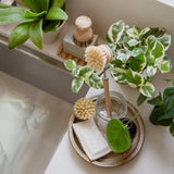 Sisal Dish Brush with Replaceable Head | Eco Friendly: Full Brush