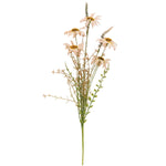 Blush Coneflower Spray
