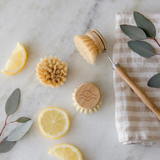 Sisal Dish Brush with Replaceable Head | Eco Friendly: Full Brush