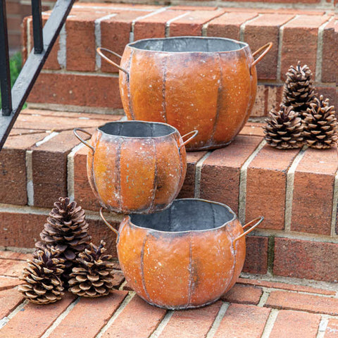 Metal Pumpkin Containers
