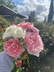 Cottage Rose Lotion Bar