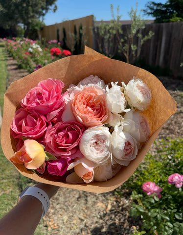 Rose Bouquet 💐