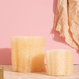 Raw loofah | Sustainable sponge