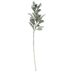 Lamb's Ear Spray
