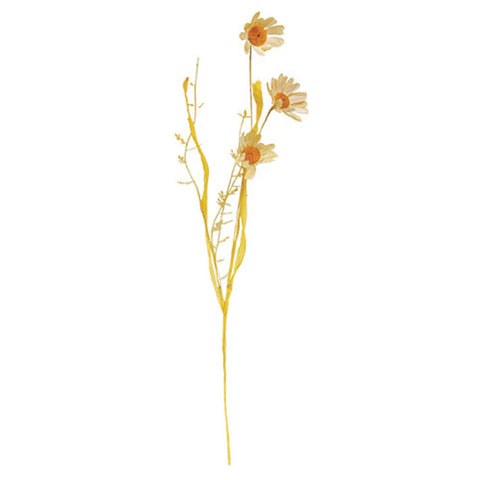 Wispy Late Summer Daisy & Dried Grass Spray