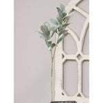 Lamb's Ear Spray