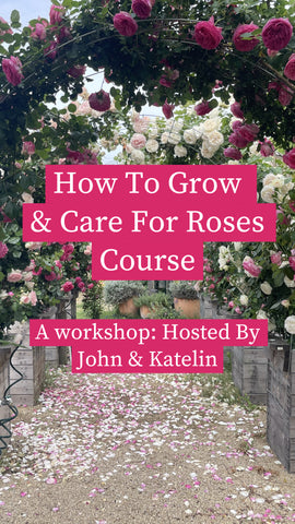 Rose Growing & Care Course On The Farm- 5/31/2025 7:00am-9:30am