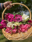 Cottage Rose Lotion Bar
