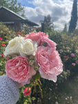 Rose Facial Toner/ Rose Hydrosol