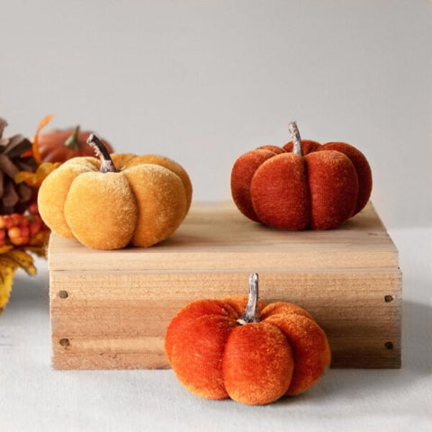 WARM COLORED MINI VELVET PUMPKINS - Set of Three