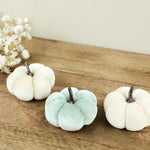 WHITE/TEAL MINI VELVET PUMPKINS