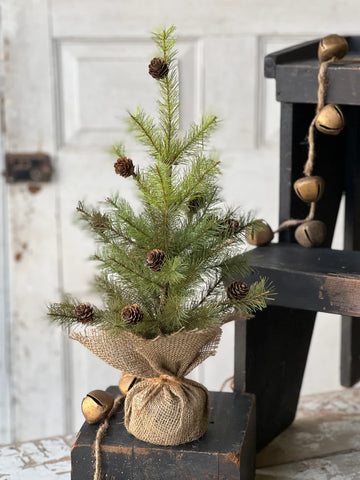 Greenup Pine Tree w/ Cones | 18"