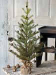 Greenup Pine Tree w/ Cones | 36"