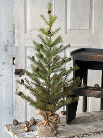 Greenup Pine Tree w/ Cones | 36"