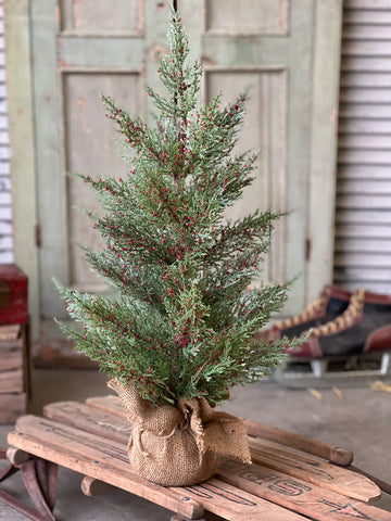 Dashing Cedar & Berry Tree | 24"