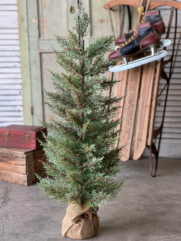 Dashing Cedar & Berry Tree | 36"