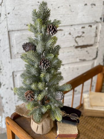 Icy Aspen Pine Tree | 24"