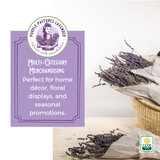 Organic Dried Lavender Bundle | Bouquet | Flowers | Organic