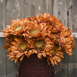 26" RED AND BROWN SUNFLOWER